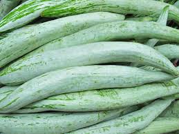 Snake Gourd Small Seeds